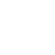 bulb